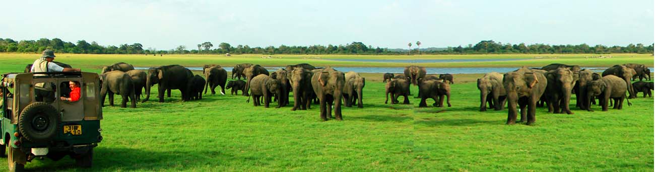 travel Sri Lanka