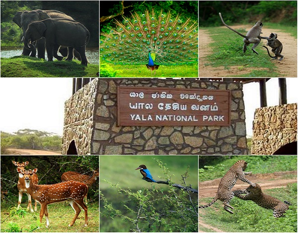 travel Sri Lanka